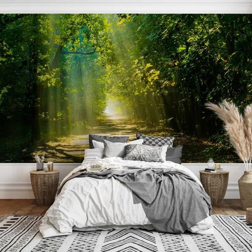  Foto tapeta - Road in Sunlight 150x105 Premium Cene