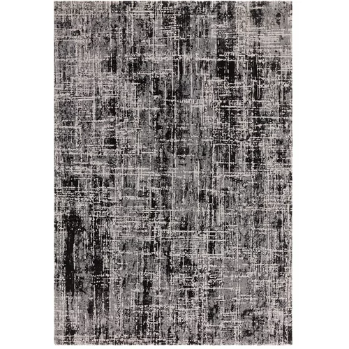 Asiatic Carpets Siva preproga 120x170 cm Kuza –