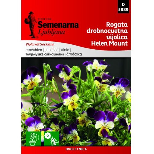 Seme LJubičica sitnocvetna Rogata Helen Mount Semenarna Slike