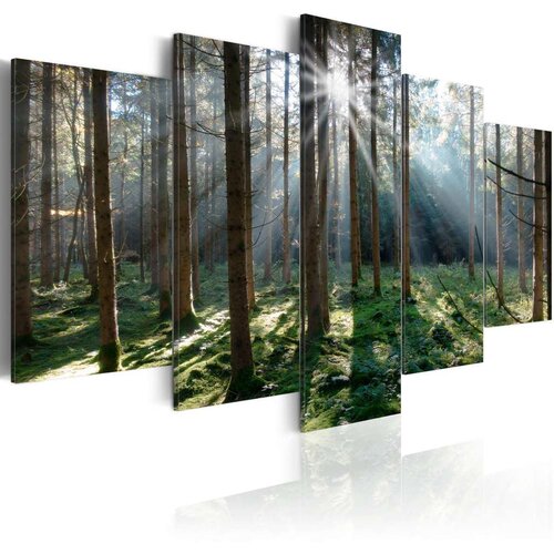  Slika - Fairytale Forest 100x50 Slike