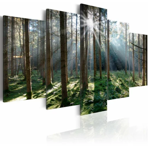  Slika - Fairytale Forest 100x50