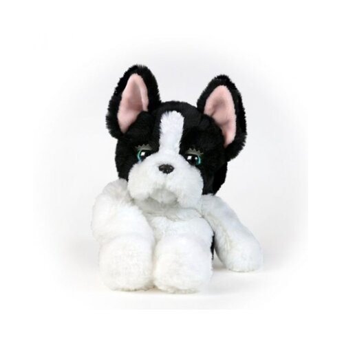 SkyRocket my fuzzy friend dog Slike