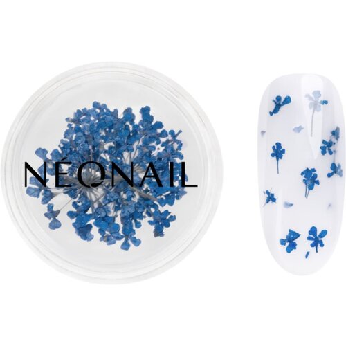 NeoNail Dried Flowers sušen cvet za nohte odtenek 04 Navy 1 kos Cene