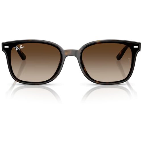 Ray-ban naočare za sunce rb 4461D 710/13 Slike