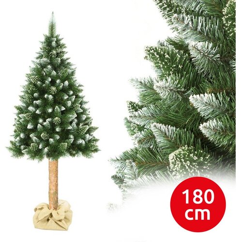  Božićna jelka sa deblom 180 cm, bor Cene
