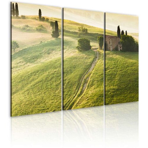  Slika - Under the Tuscan Sun 120x80 Slike