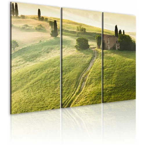  Slika - Under the Tuscan Sun 120x80