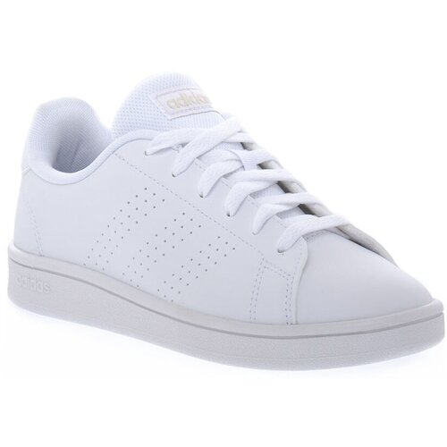Adidas Nizke superge ADVANTAGE BASE Bela Slike
