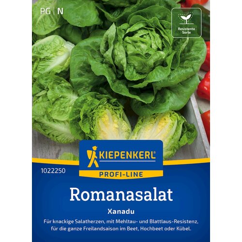 KIEPENKERL Romanska solata Xanadu - 1 pkt. Cene