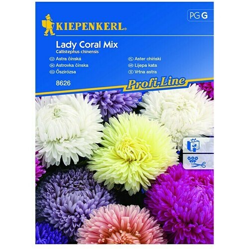KIEPENKERL Profi-Line Sjeme cvijeća Lijepa kata Lady Coral Mix (Callistephus chinesis, Raznobojno) Cijene