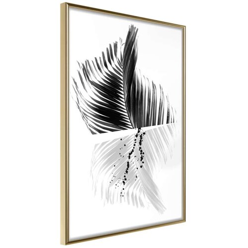  Poster - Abstract Feather 30x45 Cijene
