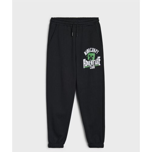 Sinsay Donji dio trenirke loose jogger Minecraft Cijene