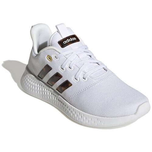 Adidas Nizke superge Puremotion Bela Cene
