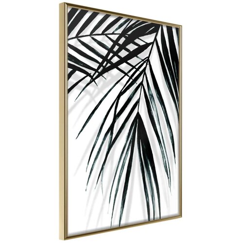  Poster - Leaf and Its Shadow 20x30 Slike