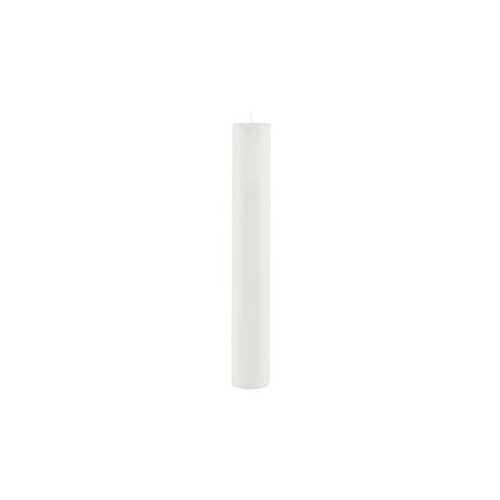 Ego Dekor Bela dolga sveča Cylinder Pure, čas gorenja 28 h Cene