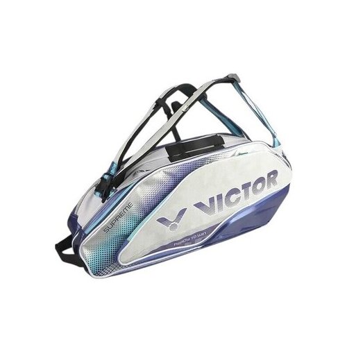Victor Torbe 202501 pisana Cene