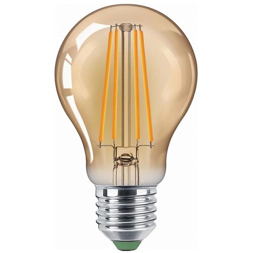 Aigostar led sijalica vintage A60 E27/12W/230V 2200K Cene