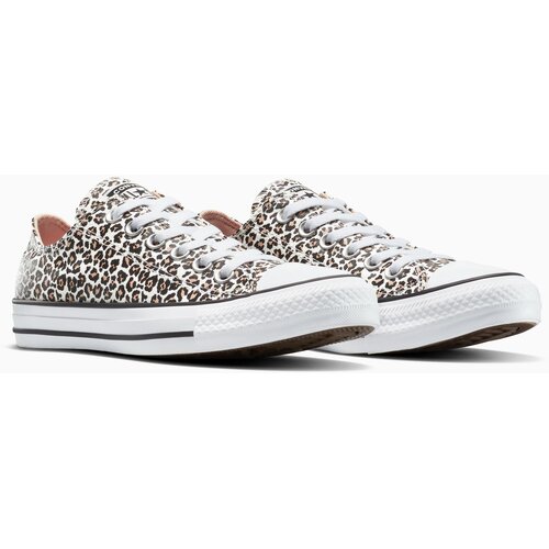Converse Ženske patike chuck taylor all star leopard Slike