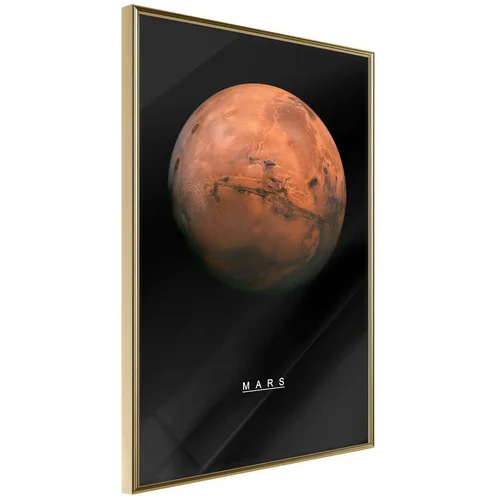  Poster - The Solar System: Mars 20x30