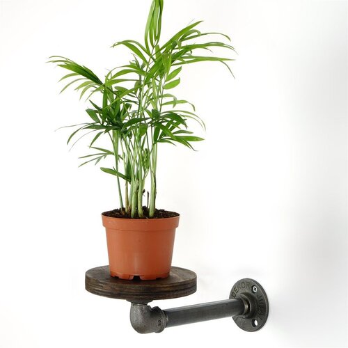 WALLXPERT BORURAF259 Srebrna Jardiniere Cene