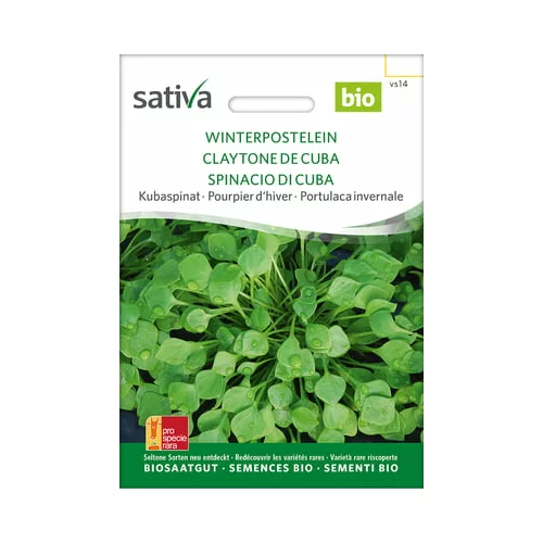 Sativa Bio kubanska špinača “Winterpostelein”