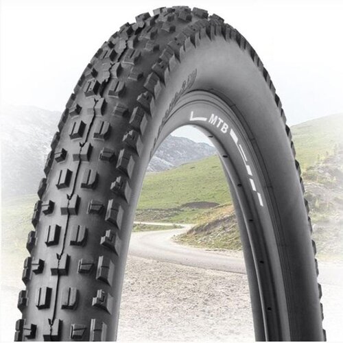  RALSON Guma za E-bicikl 29X2.50 R-3808 Cijene