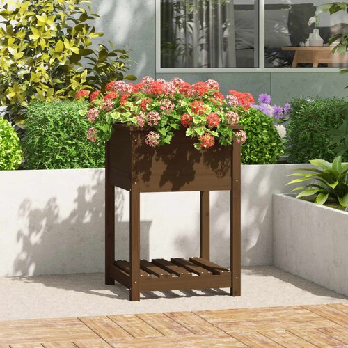 VidaXL Visoka greda s polico medeno rjava 54x54x81 cm trdna borovina Slike