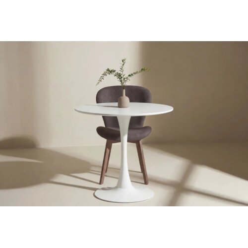 Venture Home Hamden okrugli blagovaonski stol ⌀80 cm, bijeli Cijene