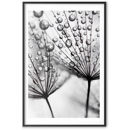  Plakat Macro Dew 29.7x42 Cijene