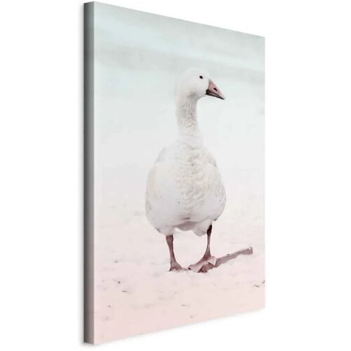  Slika - Winter Duck (1 Part) Vertical 80x120 Standard Cene