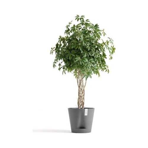 Ecopots Venice 2, siva - Ø 40 cm, višina 35 cm Cene
