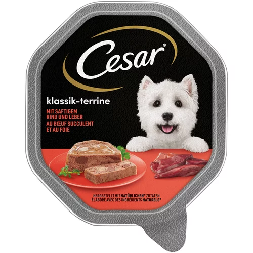 Cesar Mega pakiranje pladnji 14 x 150 g - Klasika s sočno govedino in jetri