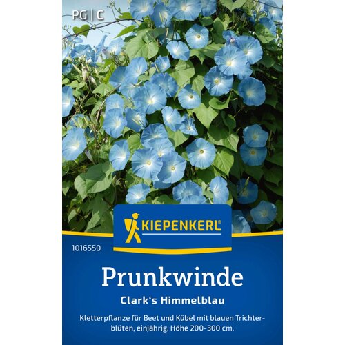 KIEPENKERL Nebeško modra Morning glory - 1 pkt. Cene