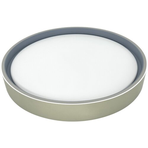 Ferotehna plafonjera grey+champagne leah led 24 w 1440 lm dip cct 3000/4000/6500 k IP20 40 cm Cene