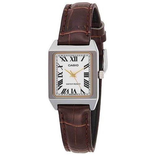 Casio Analogne ure ty307030 pisana Cene