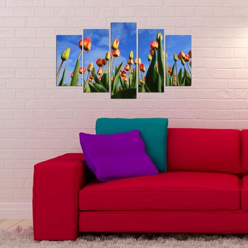 Wallity Set Slika 5PMX-065, 5 Delova Cene