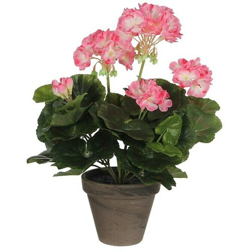  Umjetni cvijet Pelargonija (Visina: 34 cm, Boja cvijeta: Roza) Slike