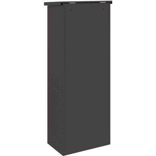  Sandučić za pakete s pohranom Crna 44,5 x 29 x 110,5 cm Čelik Slike
