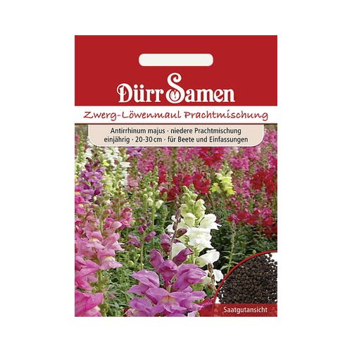 Dürr Samen Pritlikavi odolin Cene