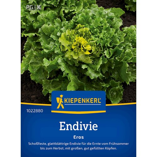 KIEPENKERL Endivija Eros - 1 pkt. Cene