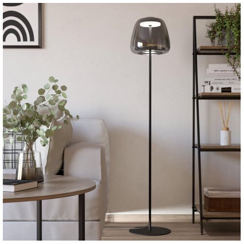 Eglo 901196 - LED RGBW prigu&scaron;iva stojeća lampa ALFERO-Z LED/15,5W/230V zadimljena Cene