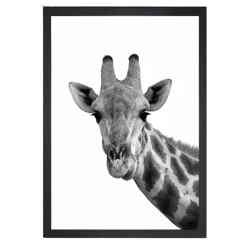 Tablo Center Slika Giraffe Portrait, 24 x 29 cm