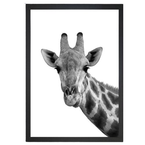 Tablo Center slika Giraffe Portrait, 24 x 29 cm Slike