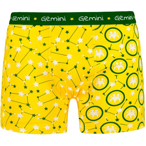 Frogies Men's boxers Zodiac Blizanci Cijene