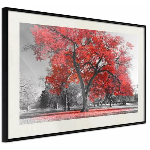  Poster - Red Tree 45x30