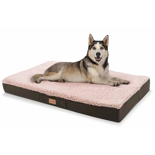 brunolie Balu, pasja postelja, blazina za psa, pralna, ortopedska, protizdrsna, zračna spominska pena, velikost L (100 × 10 × 65 cm)