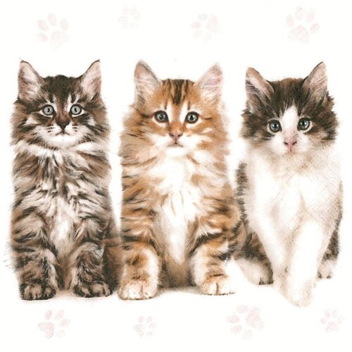  Salvete za dekupaž Three Beautiful Cats - 1 kom KORIŠTENO Cijene