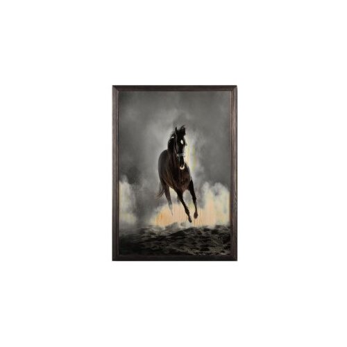 Wallity slika wild horse, 35 x 50 cm Cene