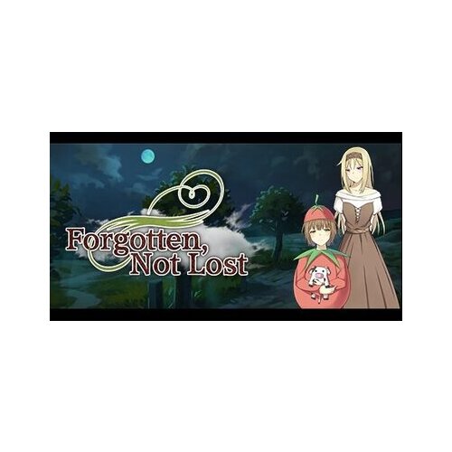  Forgotten, Not Lost Steam Key GLOBAL Cene