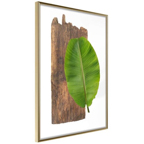  Poster - Forest Nature 20x30 Slike